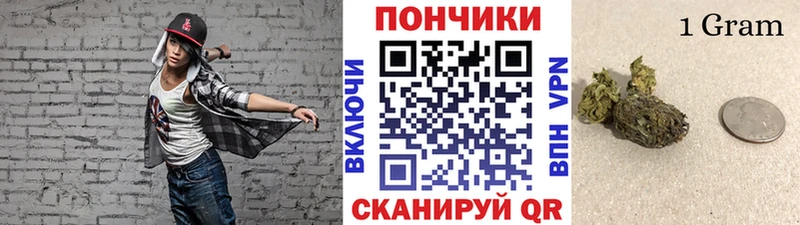 Каннабис сатива Кола